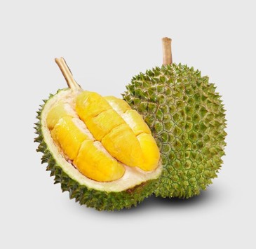 Musang King D197