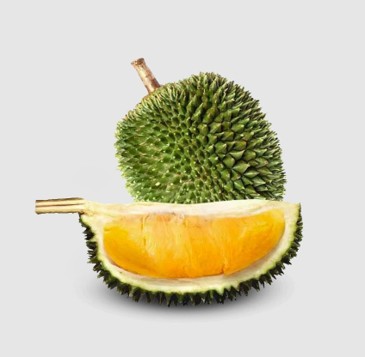 Red Flesh or Durian Merah D101