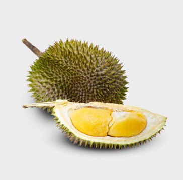 Sultan Durian D24